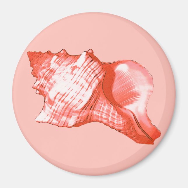 Aimant Croquis en coquille de cône - corail, coquille ros (Devant)