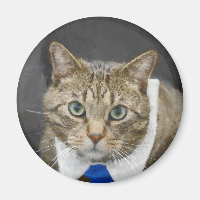 Aimant Cuite Tabby Chat Brown gris bleu Cravate animal (Devant)