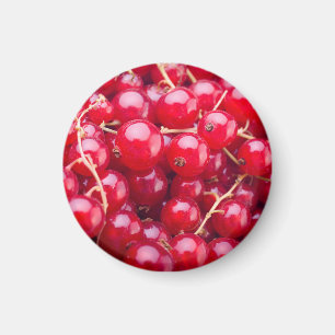Aimant Curateur rouge
