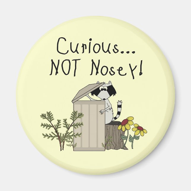 Aimant Curieux Raccoon (Devant)