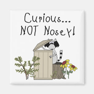 Aimant Curieux Raccoon