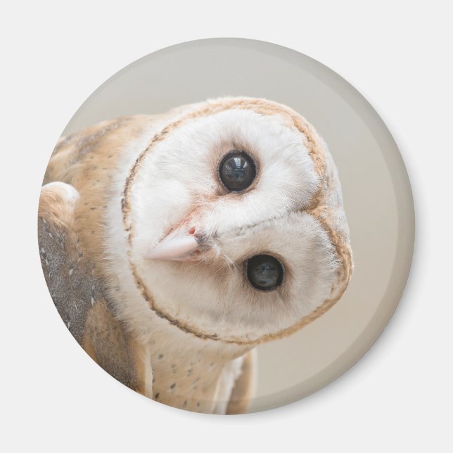 Aimant Cute Barn Owl (Devant)