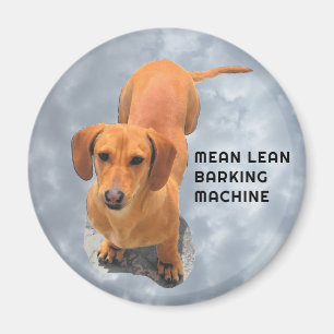Aimant Cute Brown Dachshund Machine à aboyer
