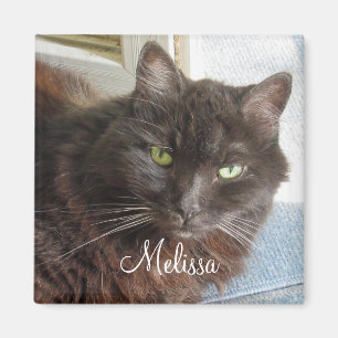 Aimant Cute Cat Photo Personnalisée Script Blanc