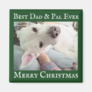Aimant Cute Dog Photo Best Dad Pal Green and White