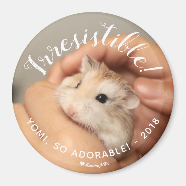 Aimant Cute Hamster Irresistible (Devant)
