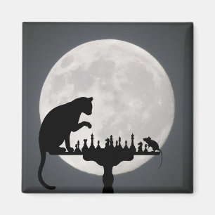Aimant Cute Kitty Chat