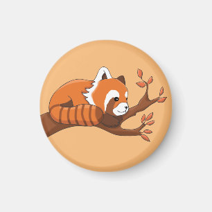 Aimant Cute Red Panda Resting in Tree Keychain