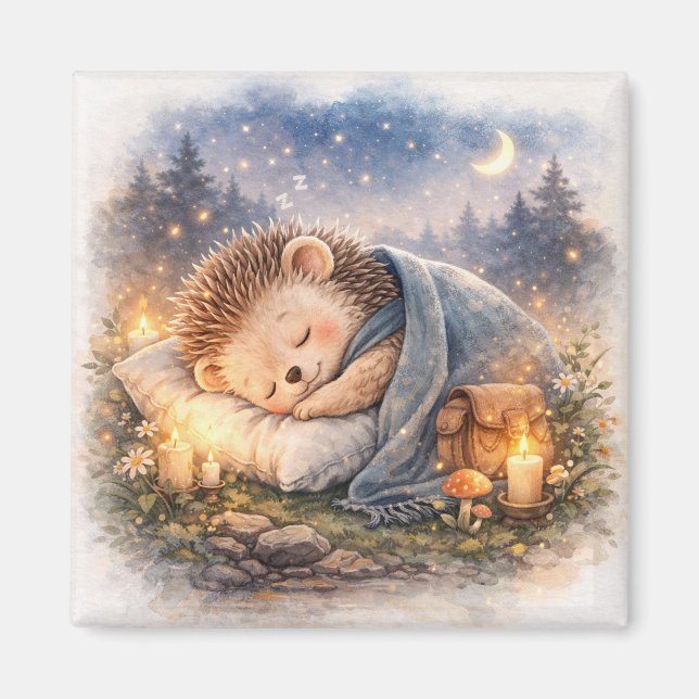Aimant Cute Sleeping Hedgehog  Fridge (Devant)