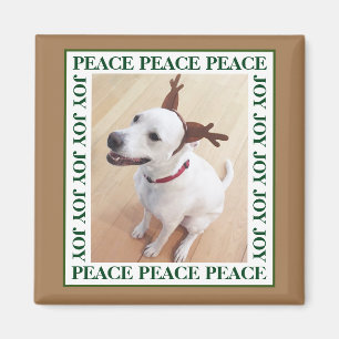 Aimant Cute White Reindeer Chien Chien Chien Chien Paix J