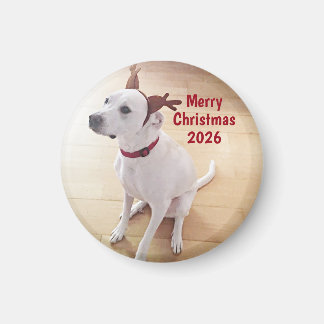 Aimant Cute White Reindeer Dog Photo Merry Christmas
