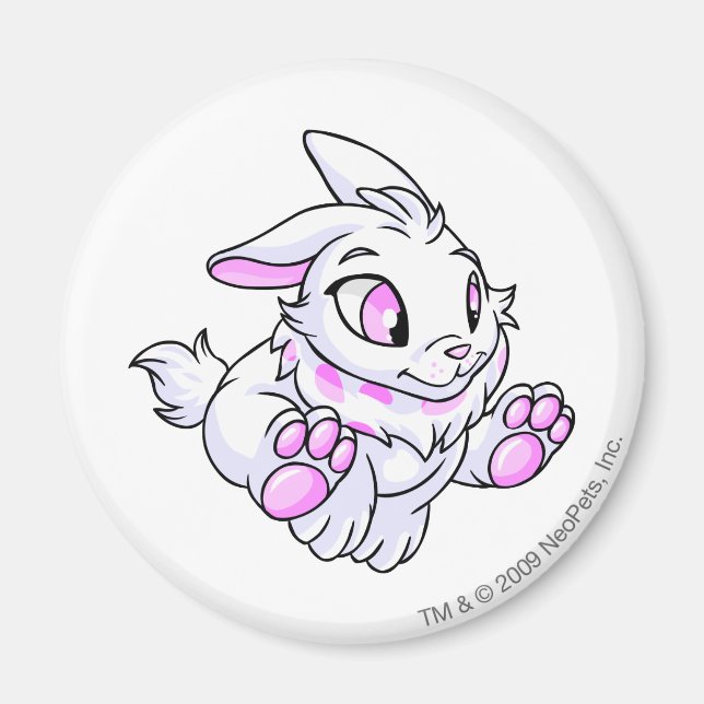 Aimant Cybunny blanc (Devant)