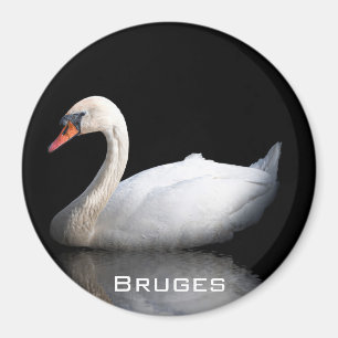 Aimant Cygne blanc sur noir