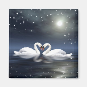 Aimant Cygnes affectueux