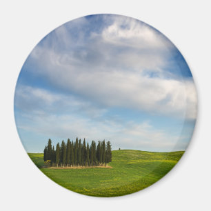 Aimant Cyprès en Toscane magnétique rond