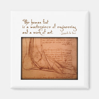 Aimant da Vinci : "Le pied humain est..."