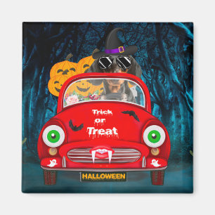 Aimant Dachshund Chien voiture voiture effrayant Hallowee