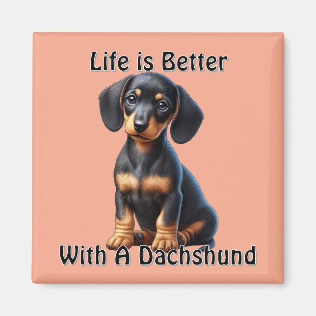 Aimant Dachshund Chiot assis et regardant avec Innocent (Devant)