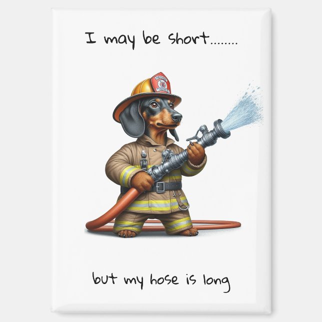 Aimant Dachshund court (Recto)