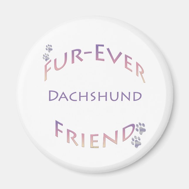Aimant Dachshund Furever (Devant)