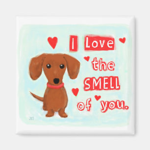 Aimant Dachshund Love Funny Wiener Chien Valentine