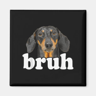 Aimant Dachshund Mème Dit Bruh Funny Chien Sarcast