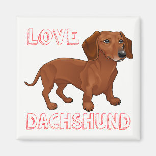 Aimant Dachshund Puppy Dog Red Love
