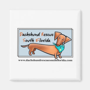 Aimant Dachshund Secourt Sud Floride