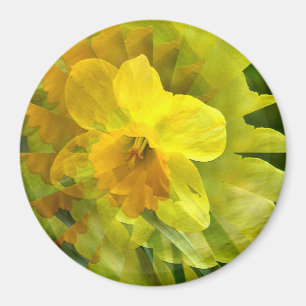Aimant Daffodil.......