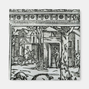 Aimant d'Agriculture de théâtre et champions de DES de