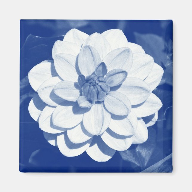 Aimant Dahlia - Cyanotype numérique (Devant)