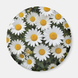 Aimant Daisies