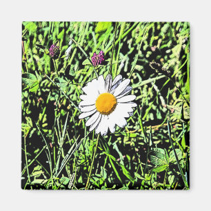 Aimant Daisy