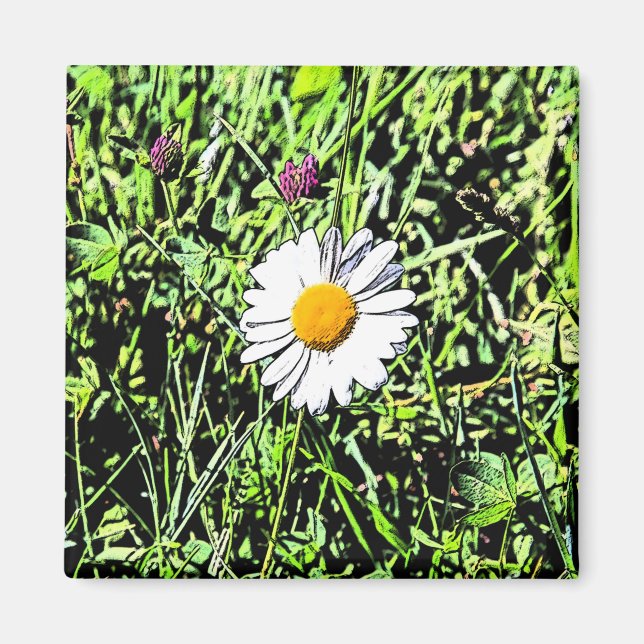 Aimant Daisy (Devant)