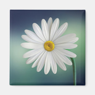 Aimant Daisy