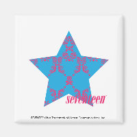 Damask Magenta-Aqua 2
