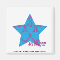 Damask Purple-Aqua 2