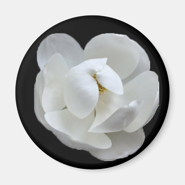 Aimant Dame du sud (Devant)