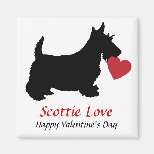 Aimant d'amour de Scottie