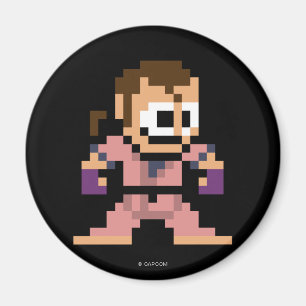 Aimant Dan à 8 bits