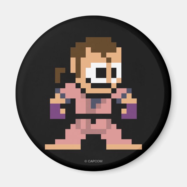 Aimant Dan à 8 bits (Devant)