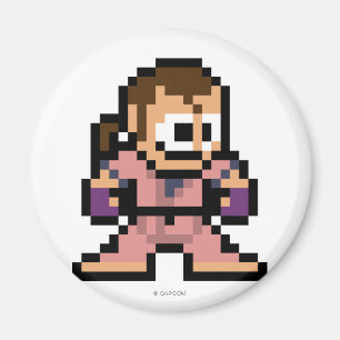 Aimant Dan à 8 bits