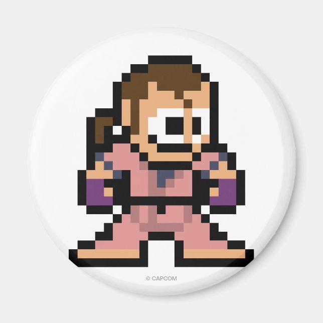 Aimant Dan à 8 bits (Devant)