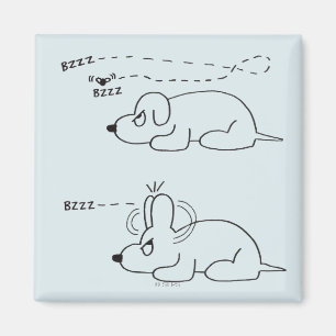 Aimant Dans l'âge d'un chien