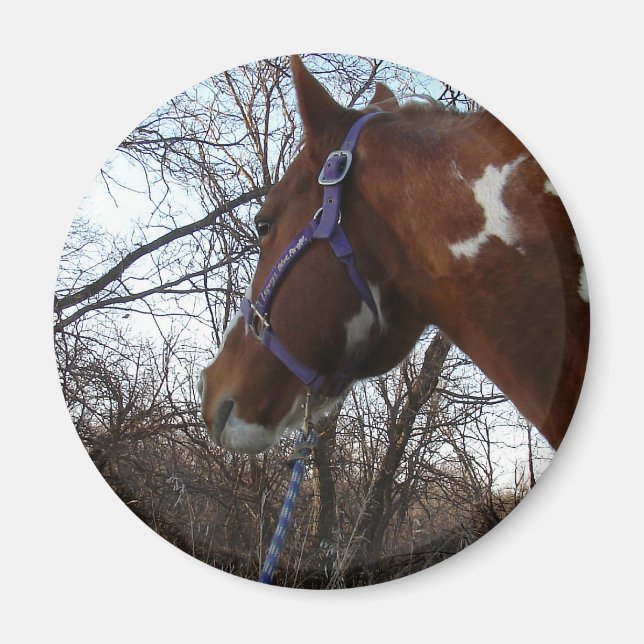 Aimant Dans les bois je regarde (Devant)