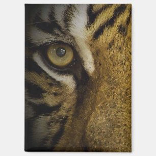 Aimant Dans l'oeil d'un tigre