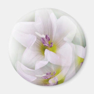 Aimant danse des fleurs
