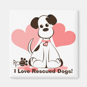 Aimant Daphné le chien adopté