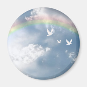 Aimant d'arc-en-ciel