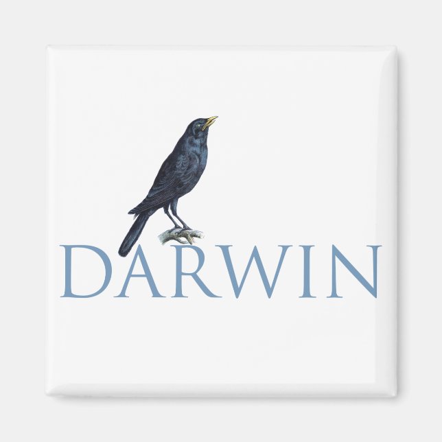 Aimant Darwin (Devant)